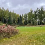 Metsaetaehti Punkaharjulla *