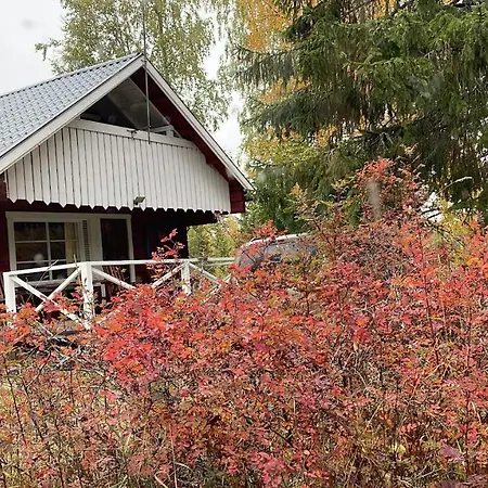 Metsaetaehti Punkaharjulla