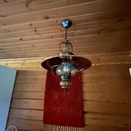 샬레 Metsaetaehti Punkaharjulla Vuoriniemi