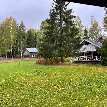 Metsaetaehti Punkaharjulla