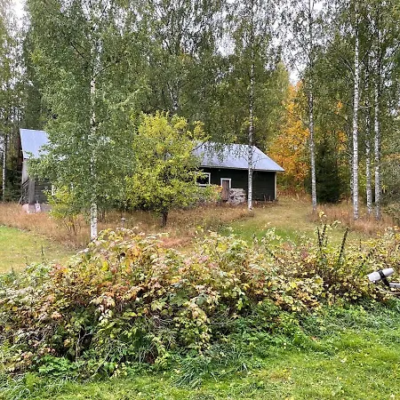 Metsaetaehti Punkaharjulla 木屋 Vuoriniemi