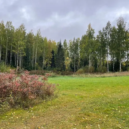 Metsaetaehti Punkaharjulla *