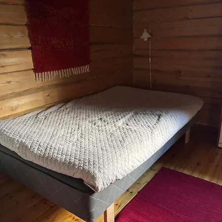 Metsaetaehti Punkaharjulla * Vuoriniemi