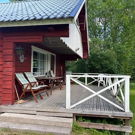 Metsaetaehti Punkaharjulla * Vuoriniemi