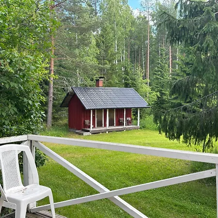 Metsaetaehti Punkaharjulla