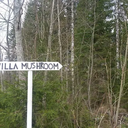 Metsaetaehti Punkaharjulla * Vuoriniemi
