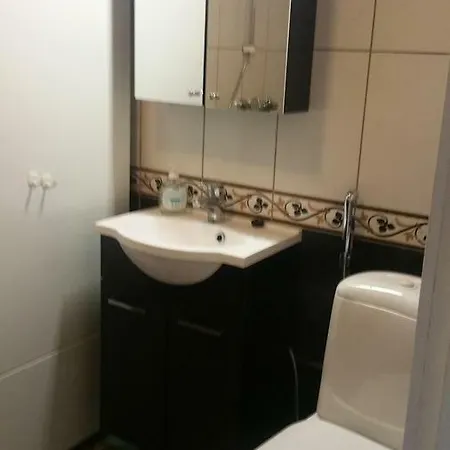 Metsaetaehti Punkaharjulla 샬레 Vuoriniemi