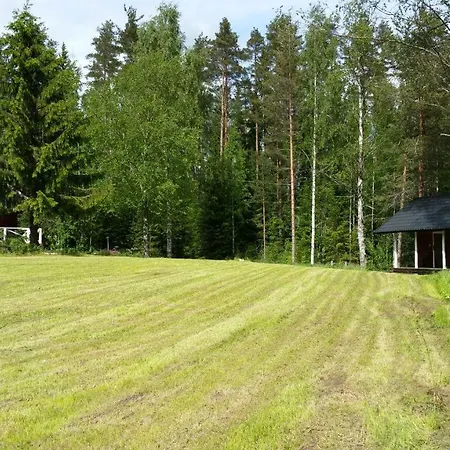 Metsaetaehti Punkaharjulla *