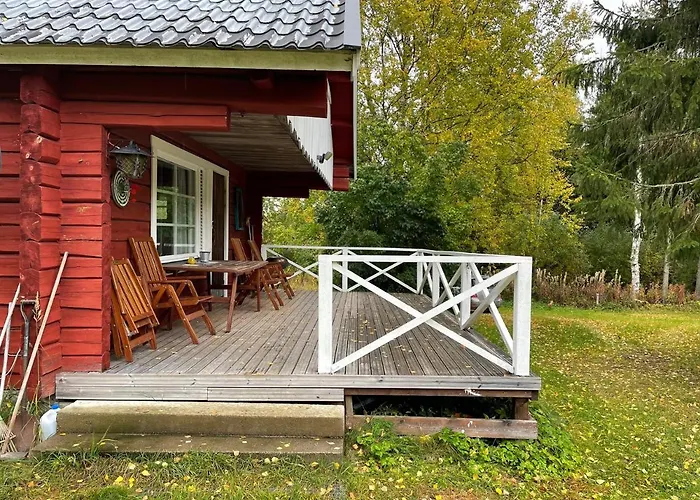 Metsaetaehti Punkaharjulla Vuoriniemi