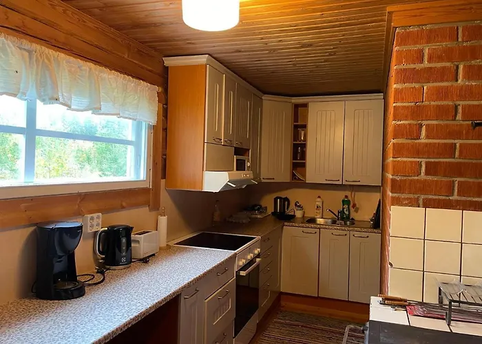 Metsaetaehti Punkaharjulla Vuoriniemi