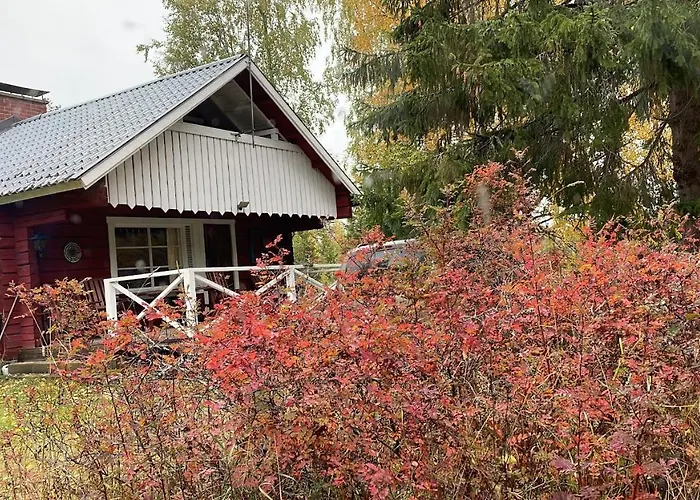 Metsaetaehti Punkaharjulla