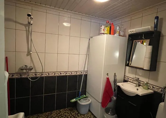 Metsaetaehti Punkaharjulla Vuoriniemi