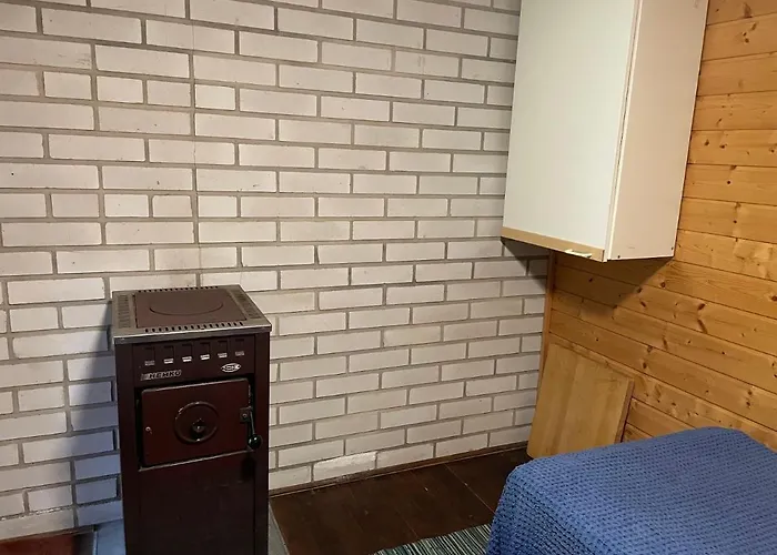 Metsaetaehti Punkaharjulla *