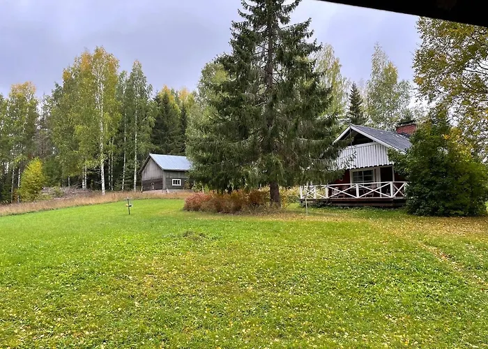 Metsaetaehti Punkaharjulla