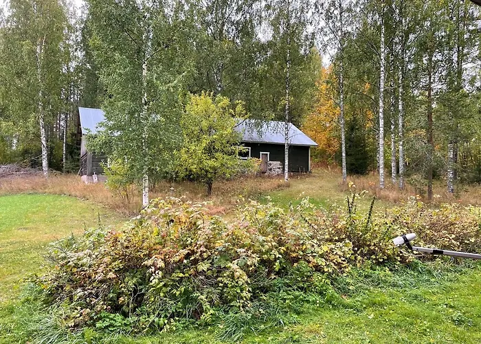 Metsaetaehti Punkaharjulla 木屋 Vuoriniemi