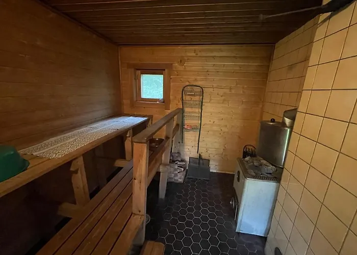 Domek alpejski Metsaetaehti Punkaharjulla *