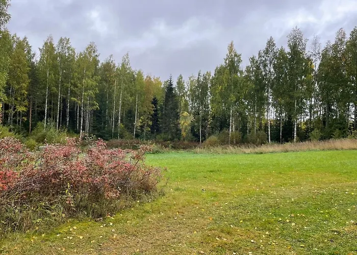 Metsaetaehti Punkaharjulla *