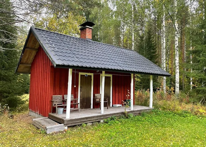 Metsaetaehti Punkaharjulla Domek alpejski