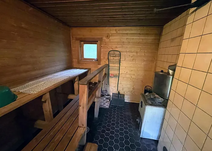 Metsaetaehti Punkaharjulla Domek alpejski *