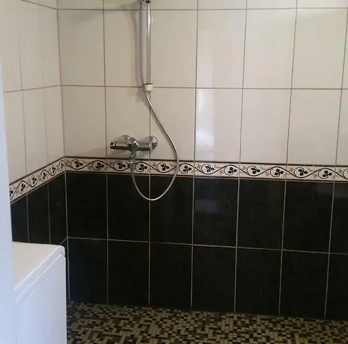 Metsaetaehti Punkaharjulla Domek alpejski *