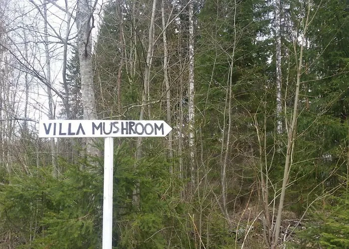 Metsaetaehti Punkaharjulla * Vuoriniemi