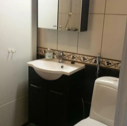 Metsaetaehti Punkaharjulla 木屋 Vuoriniemi