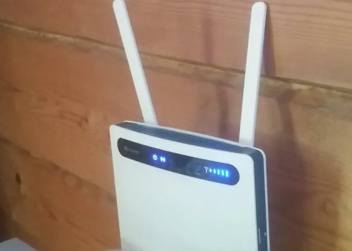 Domek alpejski Metsaetaehti Punkaharjulla