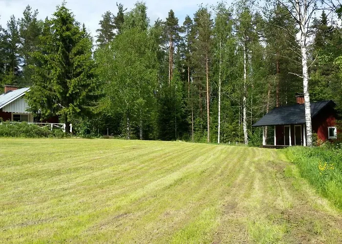 Metsaetaehti Punkaharjulla *